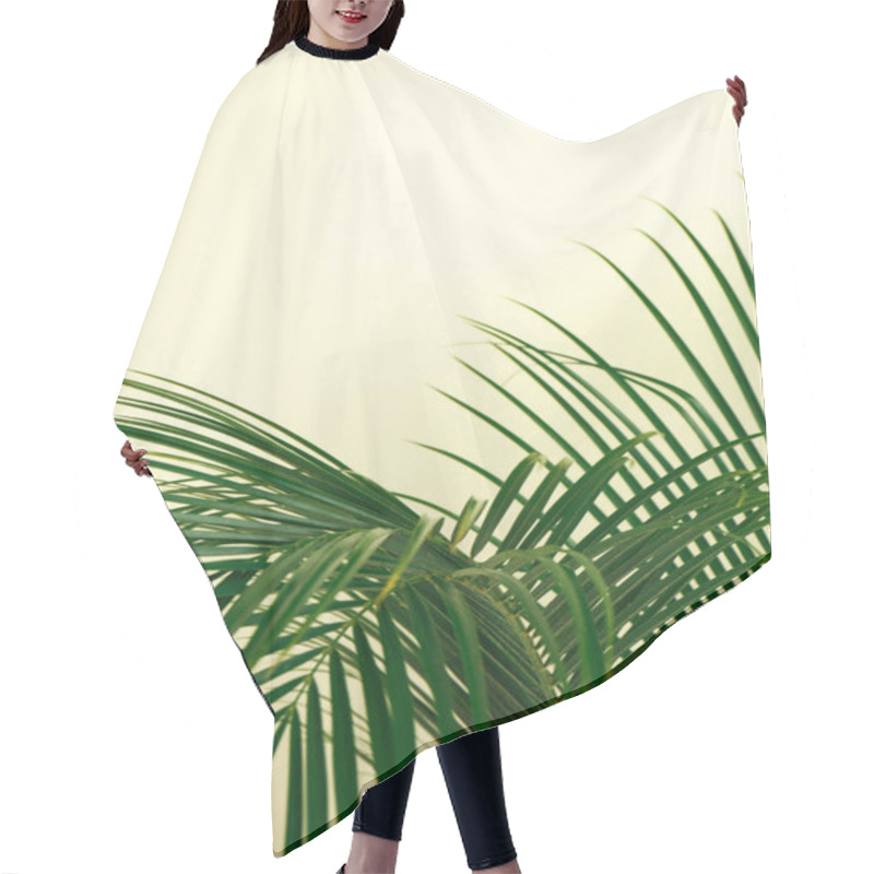 Personality  Tropical Leaves On Beige Background, Space For Text. Stylish Interior Element Hair Cutting Cape