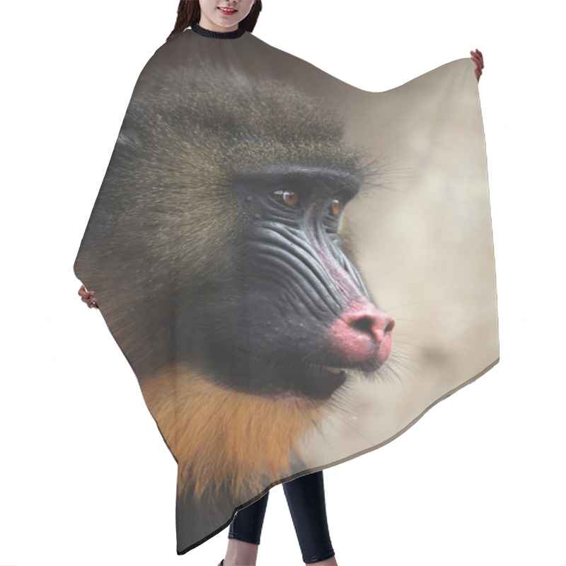 Personality  Mandrill (Mandrillus Sphinx) Hair Cutting Cape