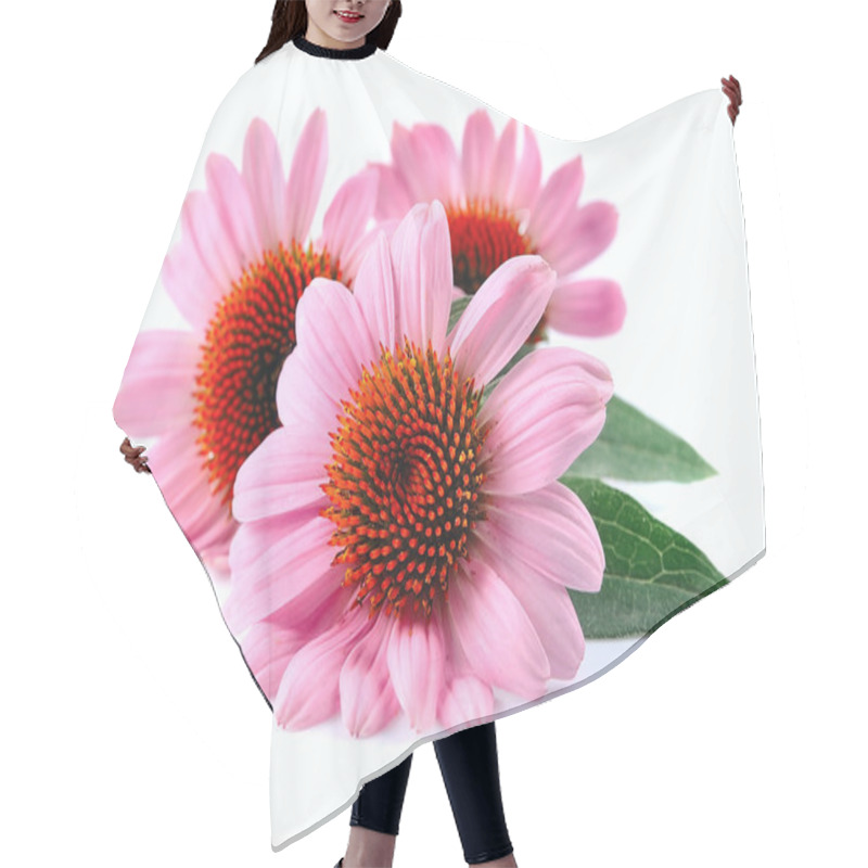 Personality  Echinacea Flowers Close Up  Hair Cutting Cape