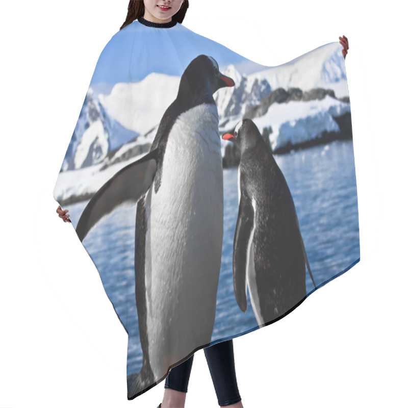 Personality  Two Penguins Resting Hair Cutting Cape