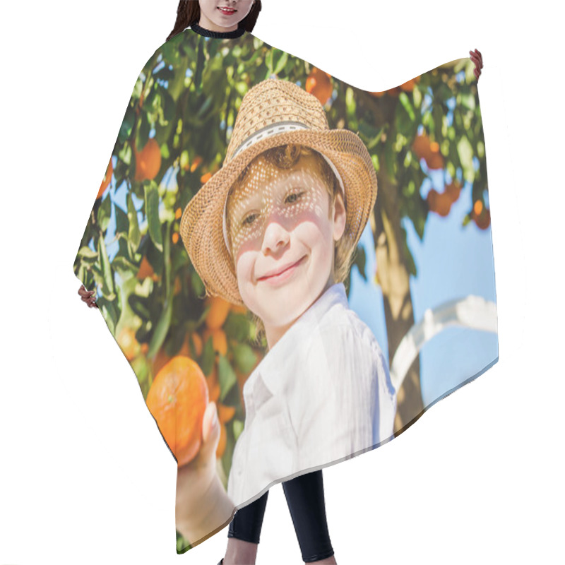 Personality  Portrait Of Attractive Cute Young Boy Picking Mandarins At Citrus Farm On Sunny Summer Day Hair Cutting Cape