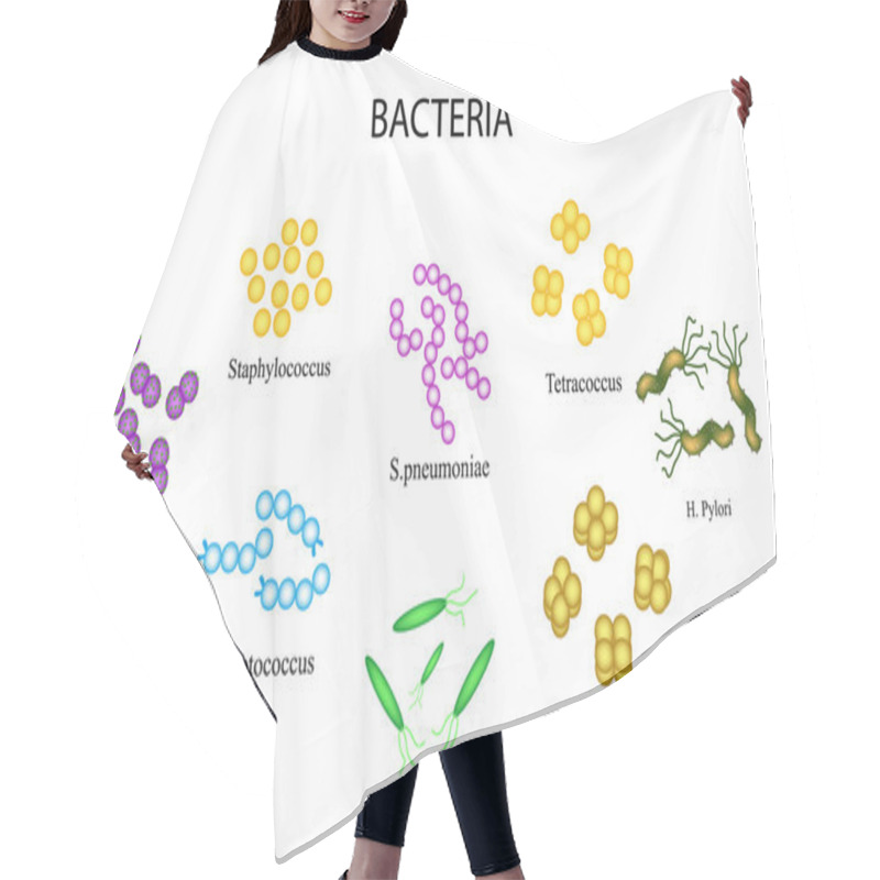 Personality  Set Of Bacteria.  Staphylococcus, Streptococcus, Streptococcus Pneumoniae, Escherichia, Coli, Helicobacter Pylori, Sartsiny, Diplococci, Tetrakokki. Vector Illustration Hair Cutting Cape