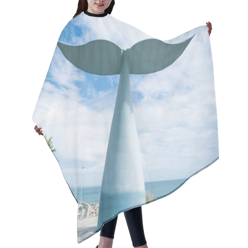 Personality  Sculpture Whale Tail Hair Cutting Cape