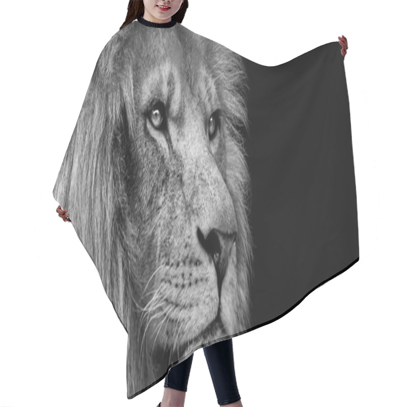 Personality  African Male Lion Baner , Panorama Wildlife Animal Isolated Black White Hair Cutting Cape