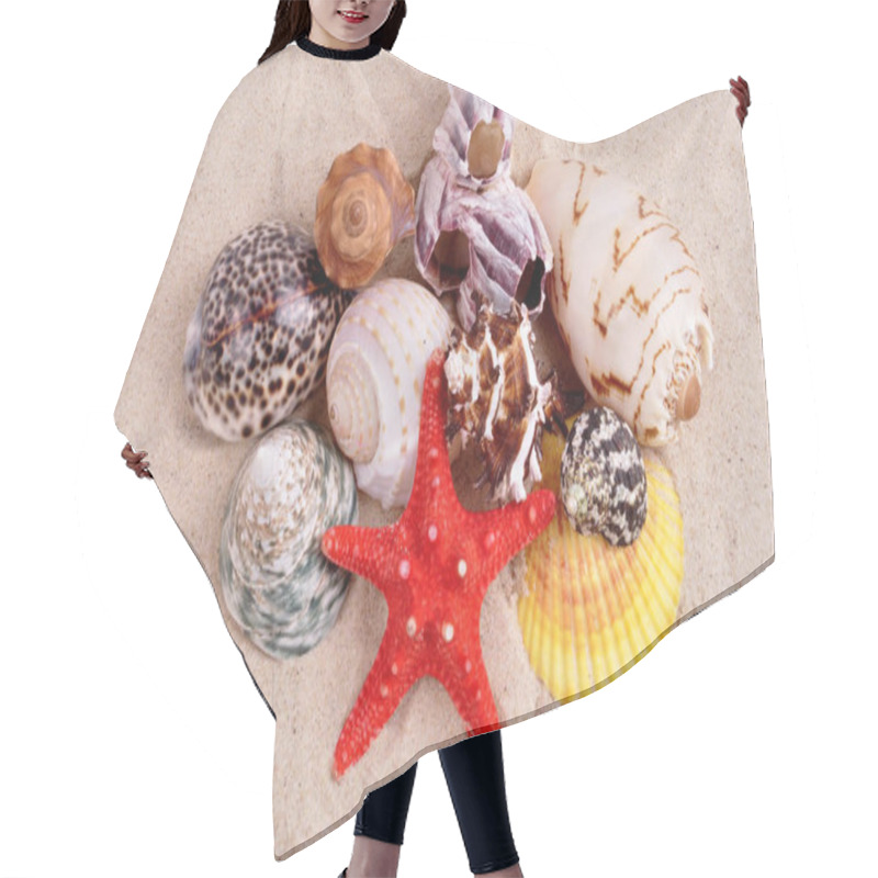 Personality  Sea Shells On A Fine Yellow Sand Background Hair Cutting Cape