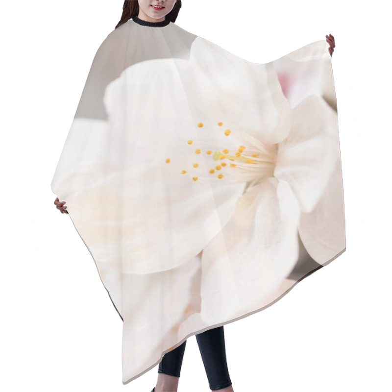 Personality  Beautiful Cherry Blossoms Hair Cutting Cape