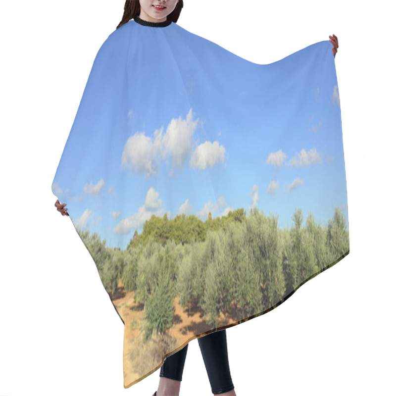 Personality  Olive Trees Hair Cutting Cape