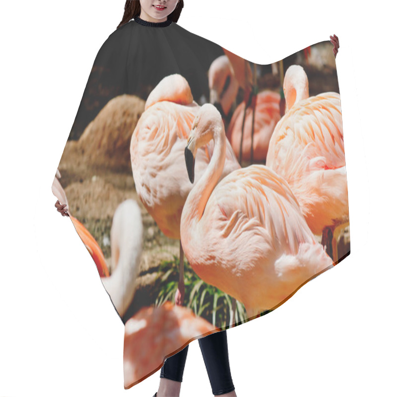 Personality  Flock Of Pink Flamingos Hair Cutting Cape