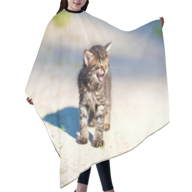 Personality  Little Kitten Staying On The Sandy Road Hair Cutting Cape