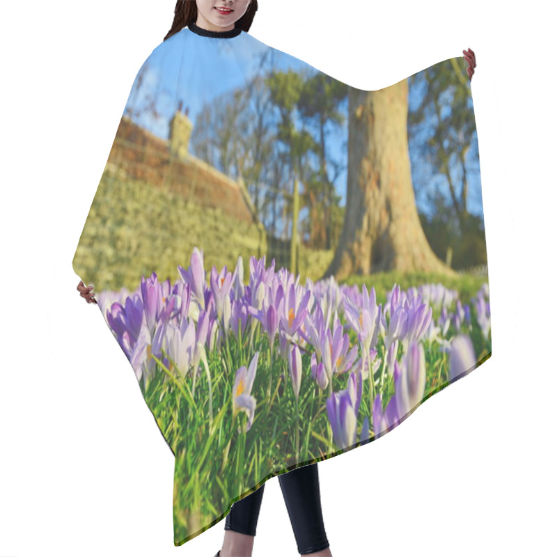 Personality  Close-up View Of Flowers Blooming In A Beautiful Garden  Hair Cutting Cape