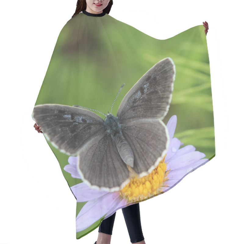 Personality  Dark Butterfly On A Flower. Hair Cutting Cape