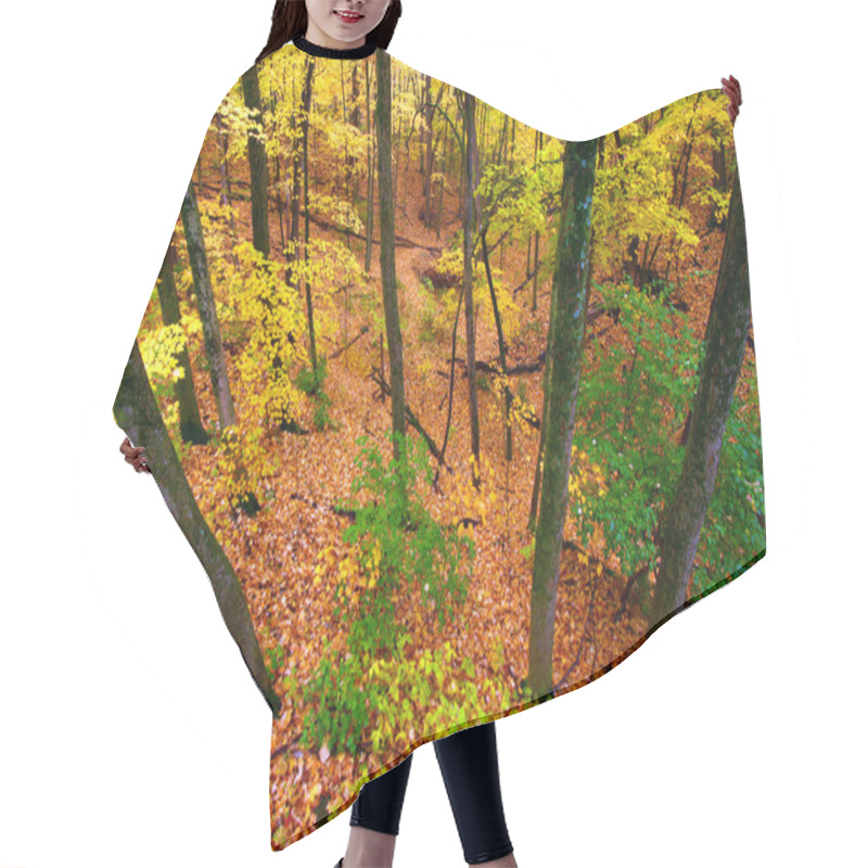 Personality  Beautiful Autumn Illinois Landscape Hair Cutting Cape