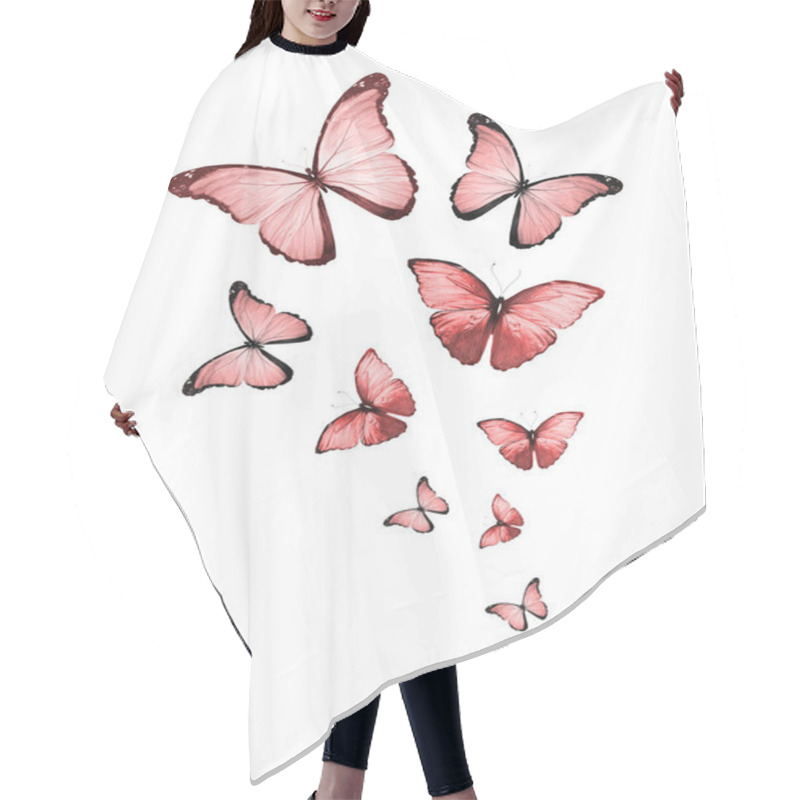 Personality  Flock Of Flying Butterflies Isolated On White Hair Cutting Cape