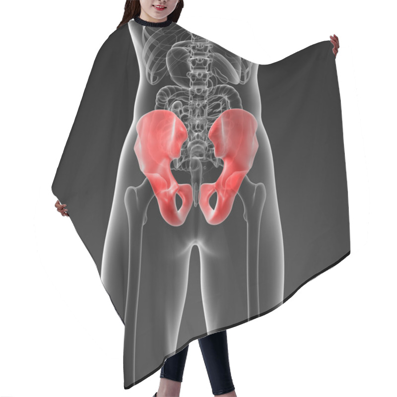 Personality  3d Render Illustration Pelvis Bone Hair Cutting Cape