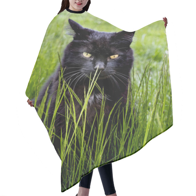 Personality  Black Cat Relaxing In The Grass Hair Cutting Cape