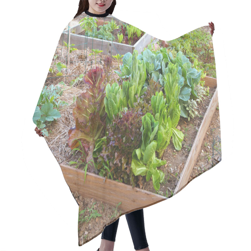 Personality  Lettuce And Greens Garden Hair Cutting Cape