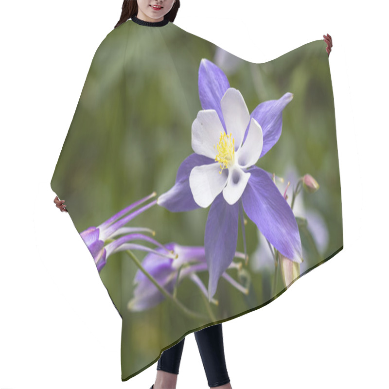 Personality  Blooming Blue Columbine Wildflower Hair Cutting Cape