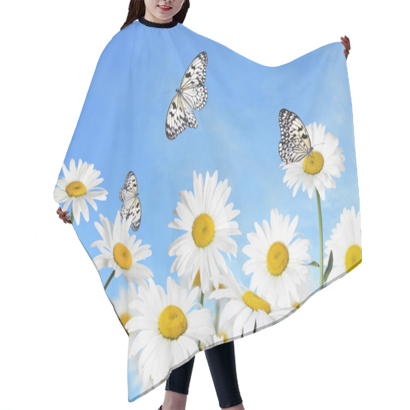 Personality  Beautiful Chamomile Flowers Outdoors On Sunny Day. Springtime  Hair Cutting Cape