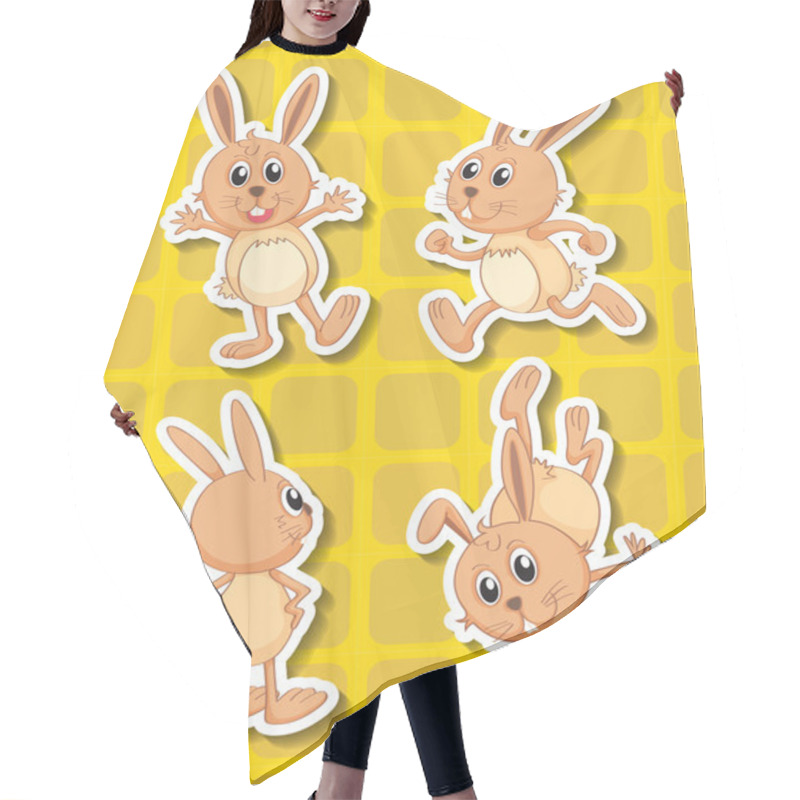 Personality  Rabbit Hair Cutting Cape