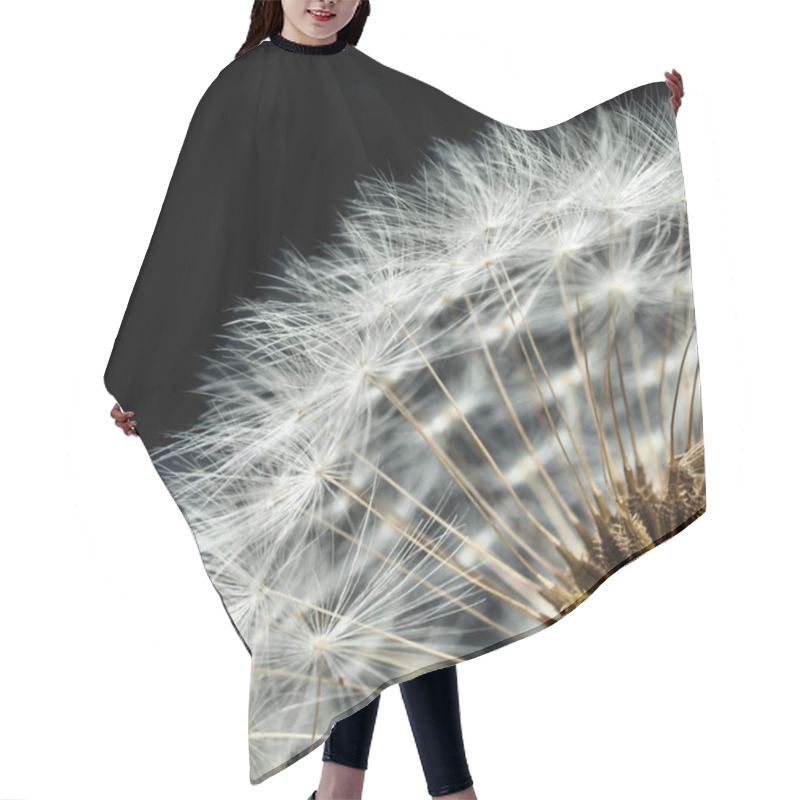 Personality  Close-up Of Dandelion Seed Head Hair Cutting Cape