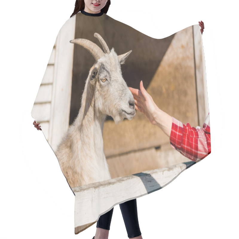 Personality  Cropped Image Of Woman Touching Goat Near Wooden Fence At Farm Hair Cutting Cape