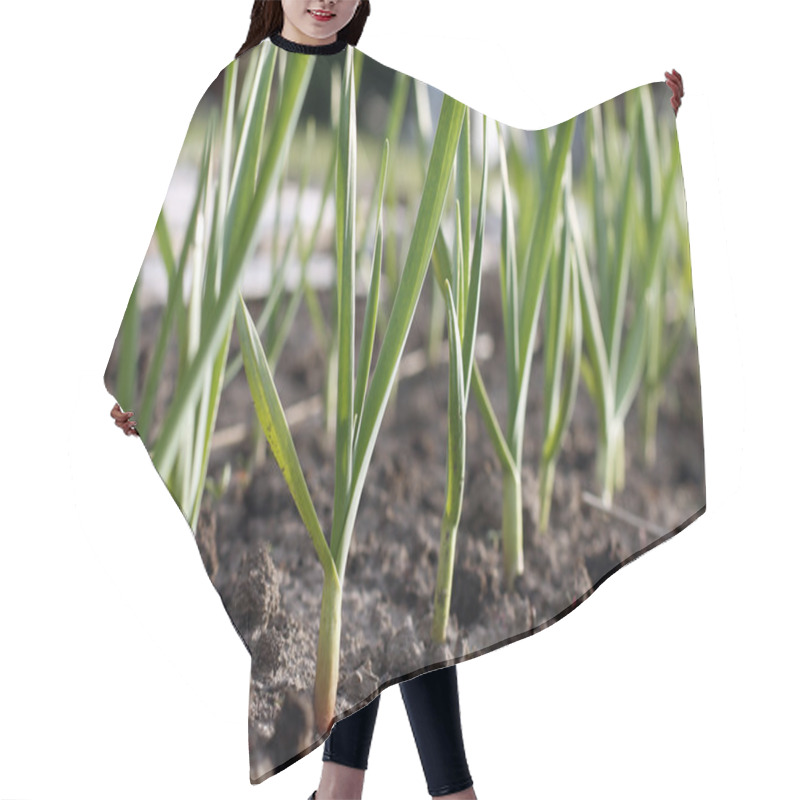 Personality  Planting Garlic Hair Cutting Cape