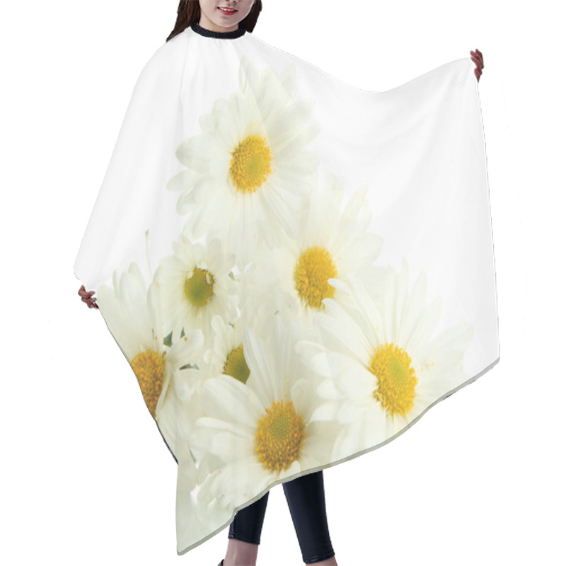 Personality  Bouquet Of Beautiful Daisies Flowers, Isolated On White Hair Cutting Cape