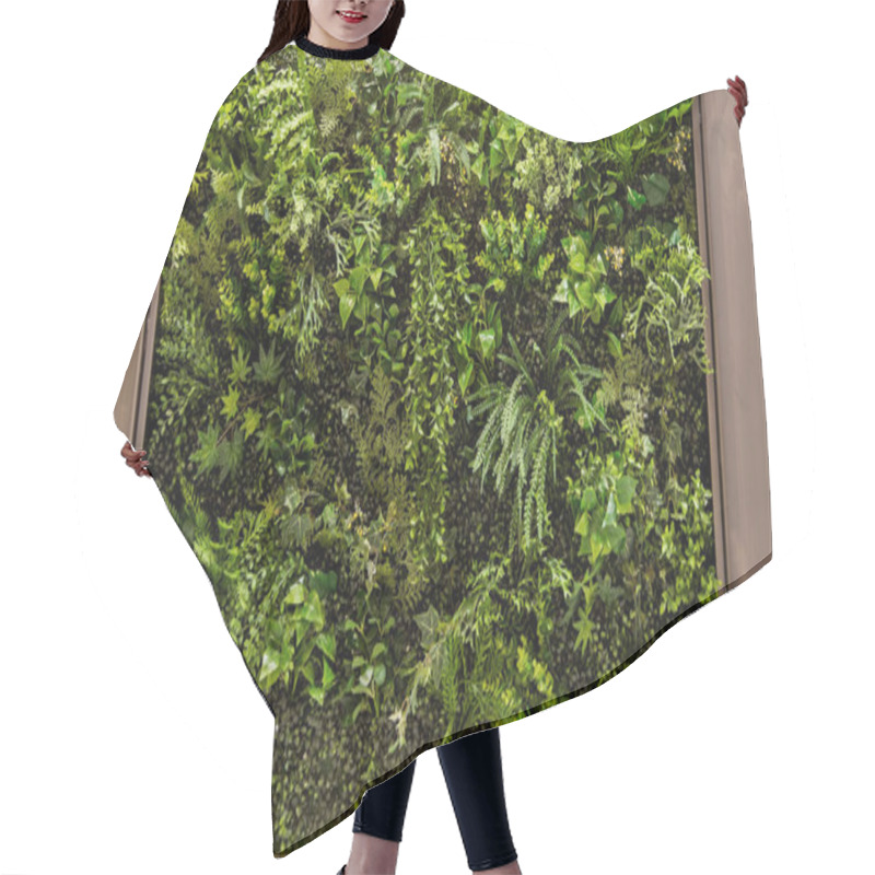 Personality  Vertical Green Garden For Background Hair Cutting Cape