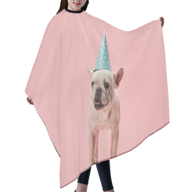 Personality  French Bulldog With Dark Nose And Blue Birthday Cap On Pink Background Hair Cutting Cape