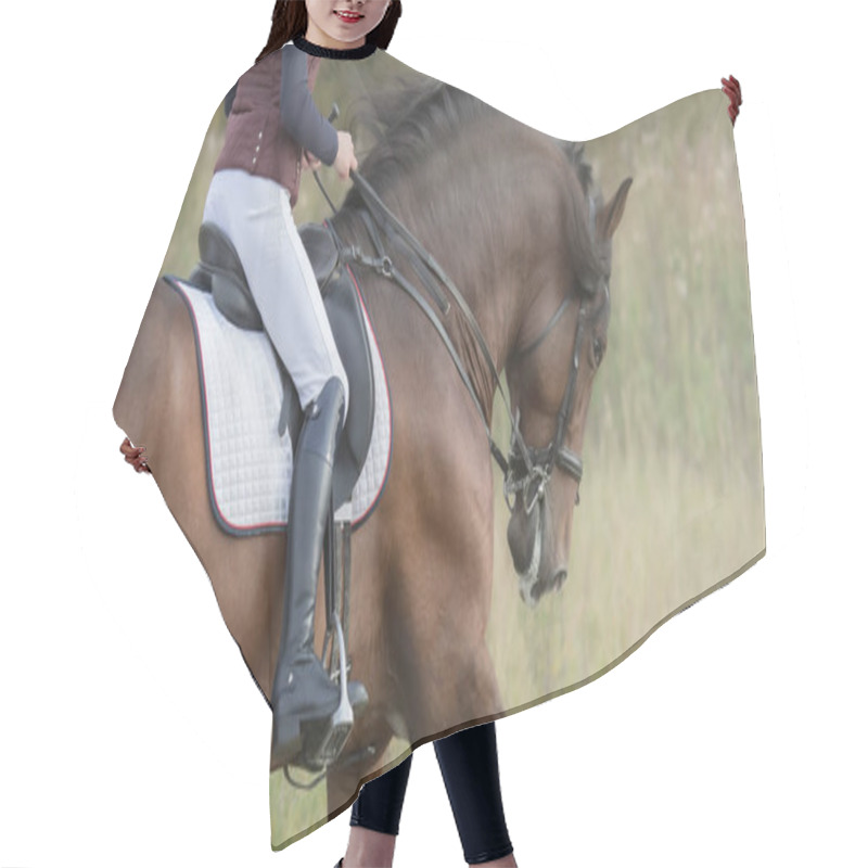 Personality  Horsewoman Riding Horse. Profile Of Female Rider And Her Bay Horse. Hair Cutting Cape