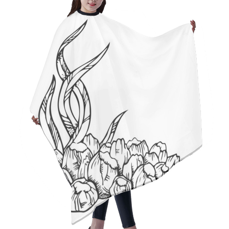 Personality  Barnacles Shells Colony With Long Seaweed Line Vector Illustration In Black And White. Monochrome Tropical Sea Reef Landscape In Hand Drawn Ink Style. Underwater Marine Prints. Hair Cutting Cape