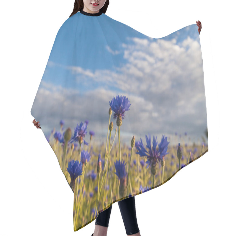 Personality  Cornfield With Blue Cornflowers Hair Cutting Cape