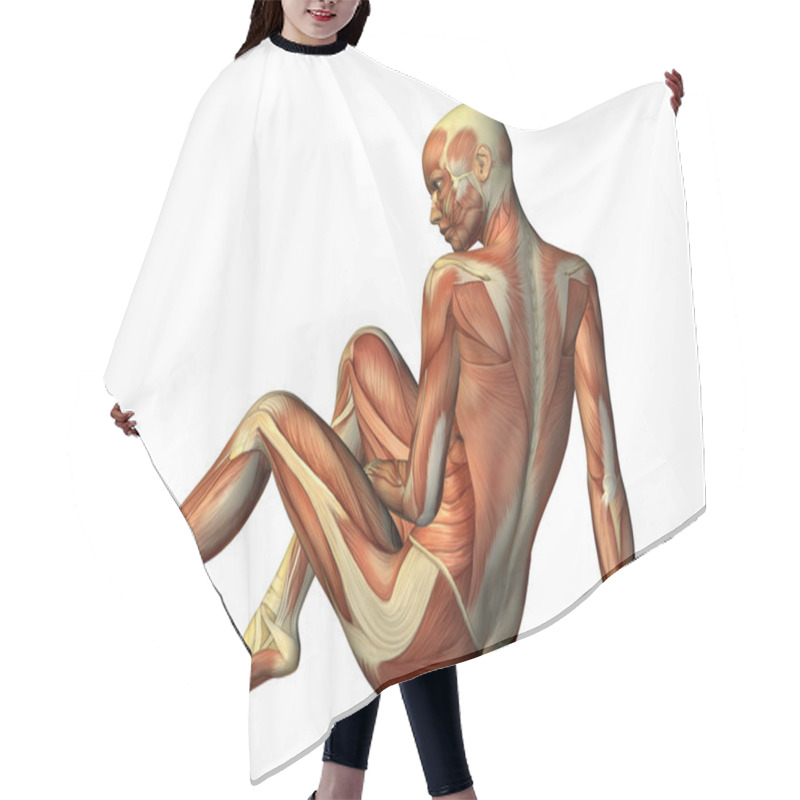 Personality  3D Rendering Muscle Seated Woman From Behind Hair Cutting Cape