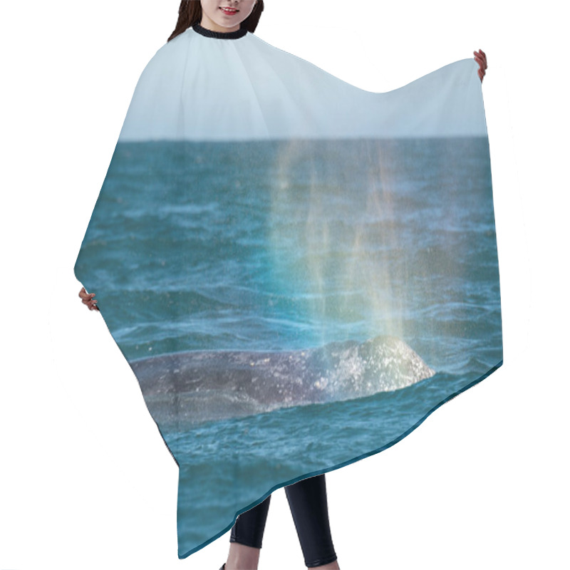 Personality  Beautiful Whale In The Ocean Hair Cutting Cape