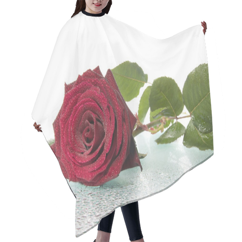 Personality  Red Rose. Hair Cutting Cape