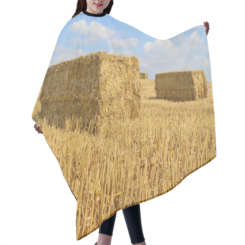 Personality  Straw Bale Drying In The Sun Hair Cutting Cape