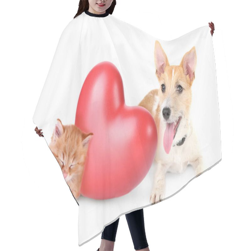 Personality  Cat And Dog With Red Heart Hair Cutting Cape