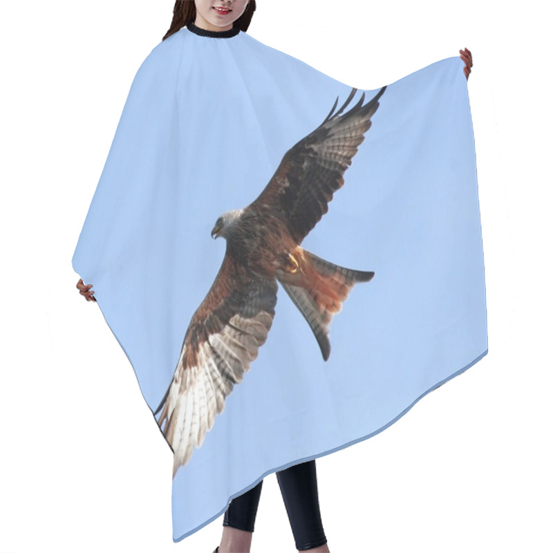 Personality  Red Kite Hair Cutting Cape