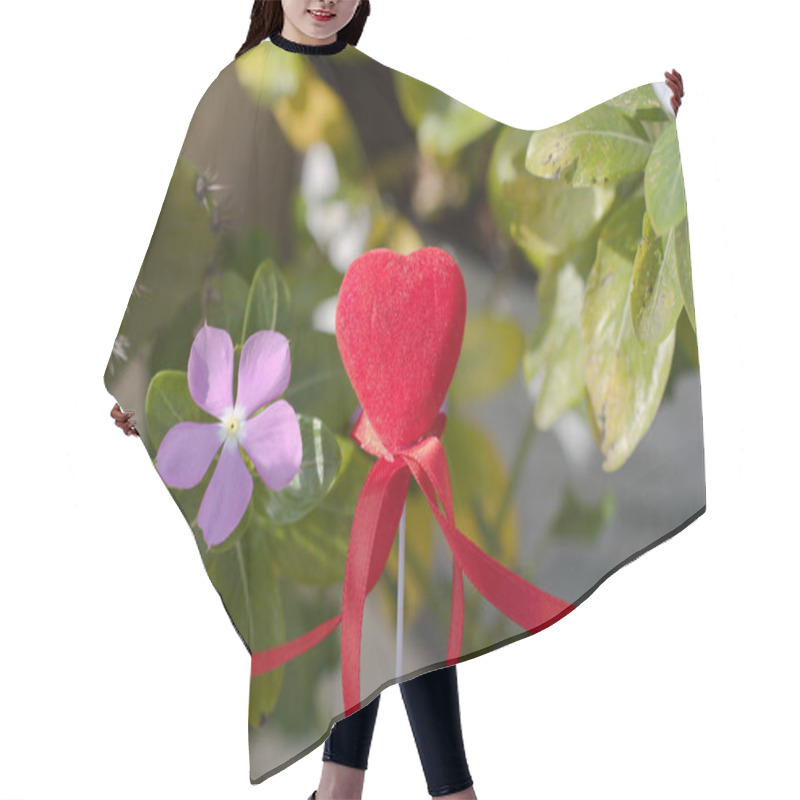 Personality  Close-up Of A Purple Periwinkle Flower Next To A Red Velvet Heart Decoration On A Stick, Surrounded By Green Foliage, Bright Sunlight Enhancing The Natural Textures And Colors. Hair Cutting Cape