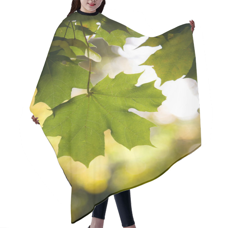 Personality  Maple Leaf Hair Cutting Cape