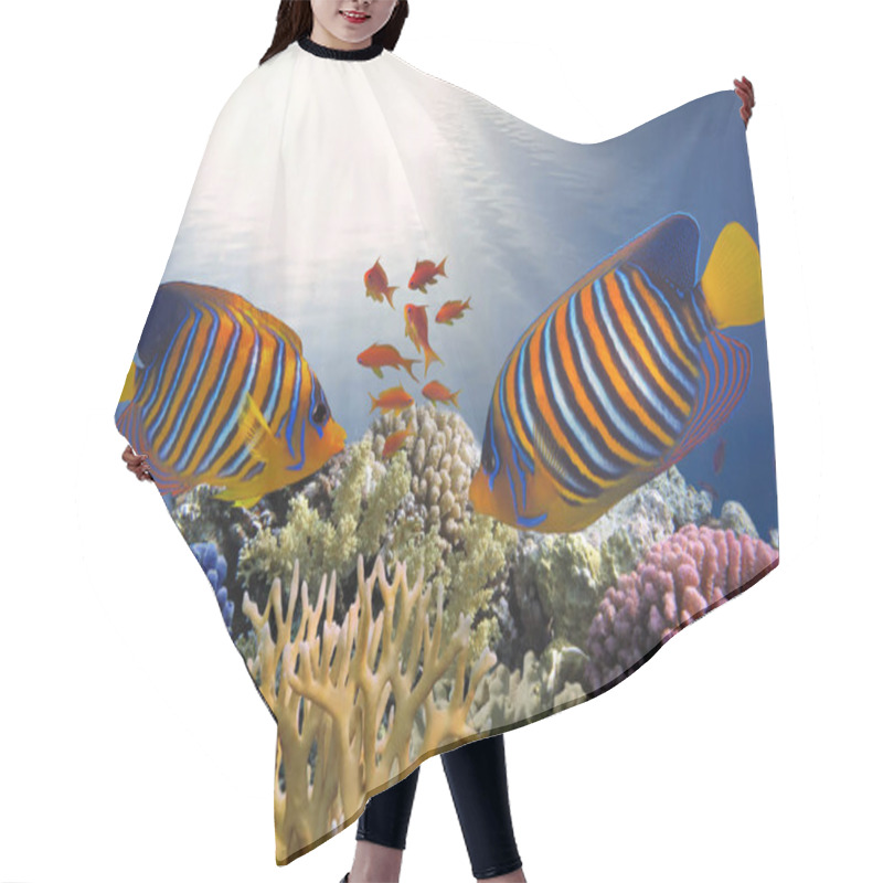 Personality  Underwater Coral Reef Background Hair Cutting Cape