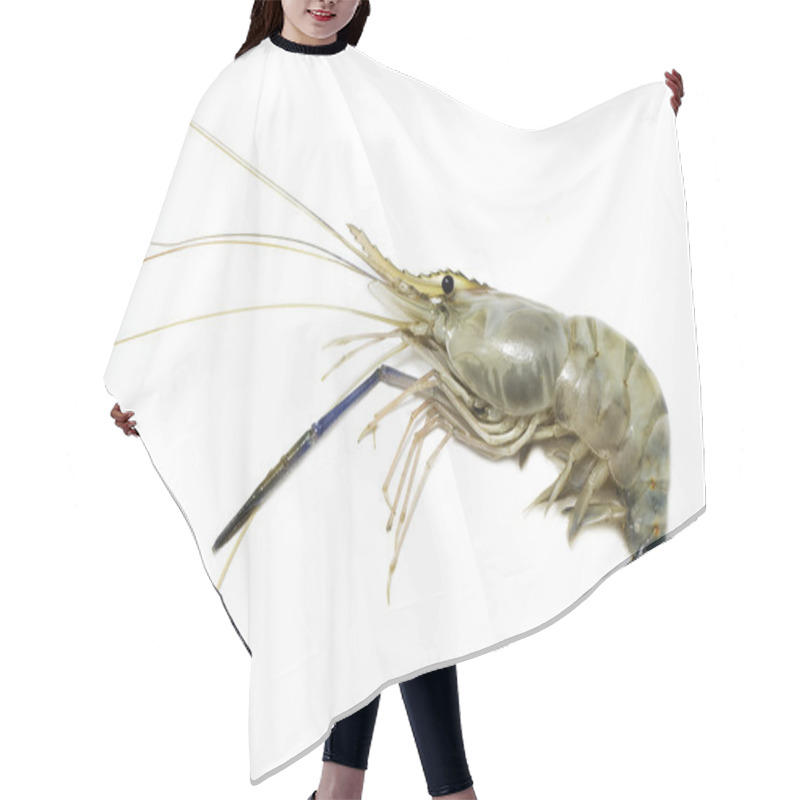 Personality  Giant Freshwater Prawn Hair Cutting Cape