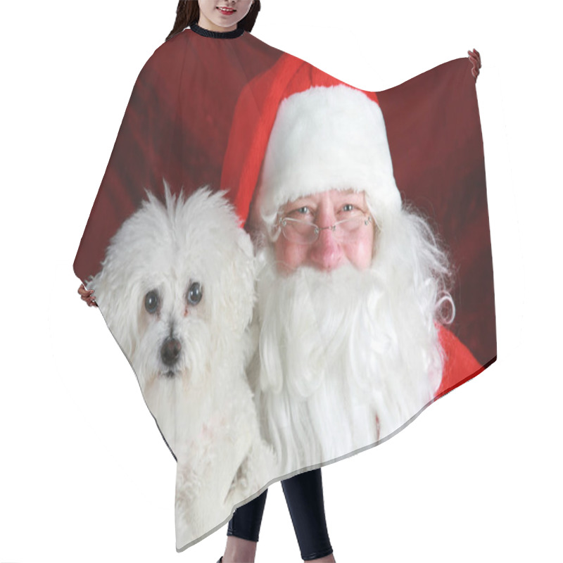 Personality  Christmas Santa Claus. Christmas Bichon Frise Dog. Santa Claus Holds A Bichon Frise Dog. Santa Holds His Bichon Frise Dog. Santa Holds His Pure Breed Bichon Frise Dog For A Christmas Photo. Merry Christmas.  Hair Cutting Cape