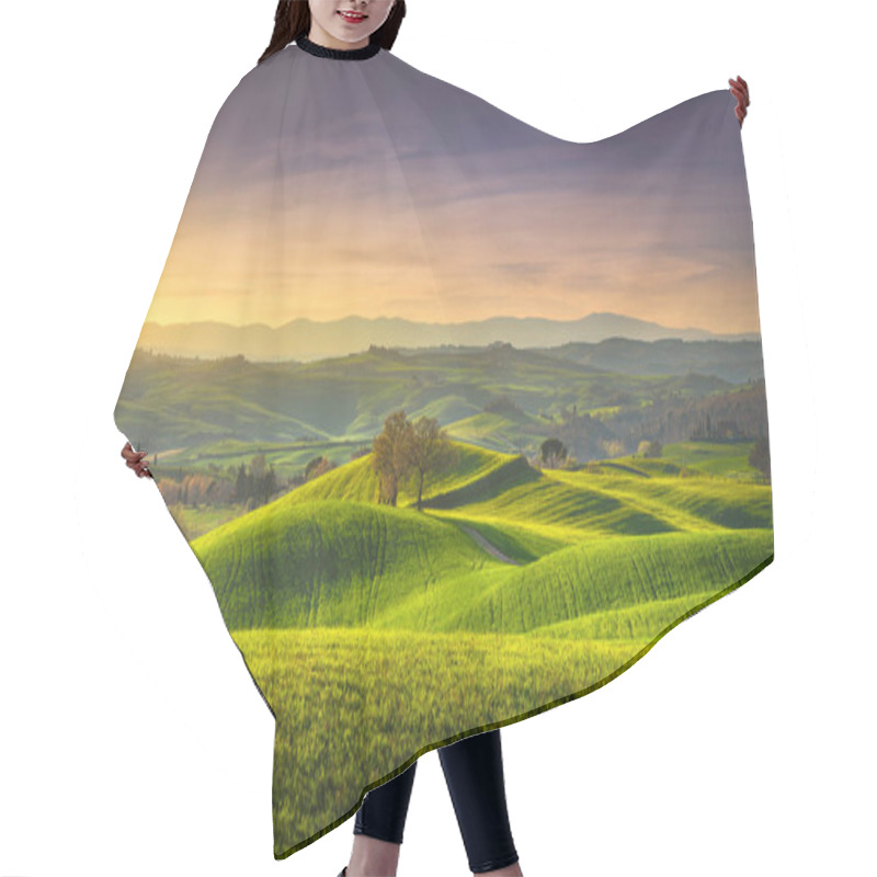 Personality  Springtime In Tuscany, Rolling Hills, Wheat And Trees At Sunset. Pienza, Italy Europe. Hair Cutting Cape