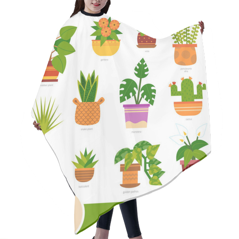 Personality  Colour Set Of Houseplants, Collection Of Nature Items With Names In English Hair Cutting Cape