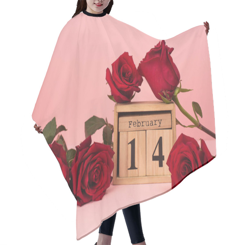 Personality  Red Roses Near Wooden Calendar With 14 February Lettering On Pink  Hair Cutting Cape