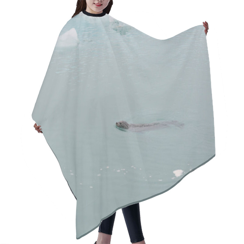 Personality  Sea Lion Hair Cutting Cape