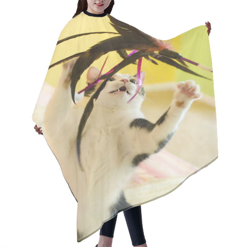 Personality  A Calico Cat Playing With A Feather Toy Hair Cutting Cape