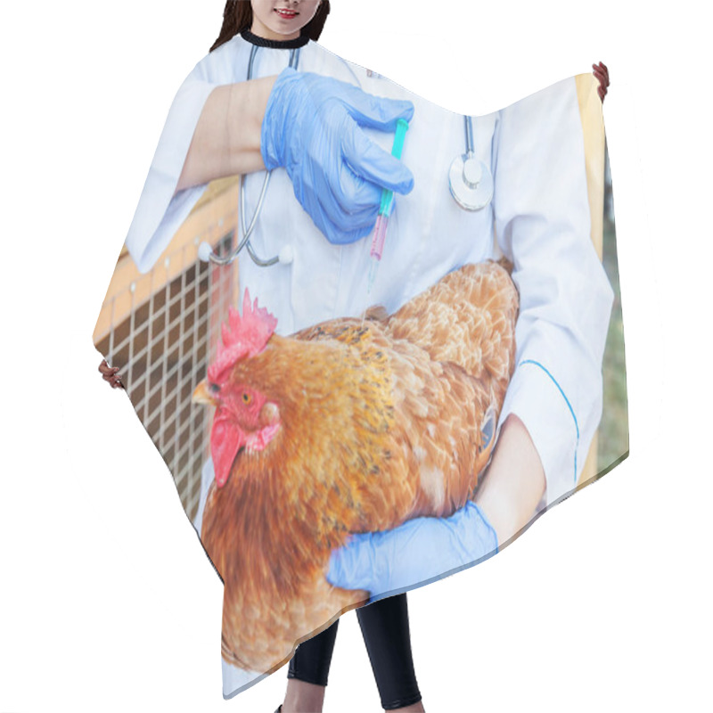 Personality  Veterinarian Woman With Syringe Holding And Injecting Chicken On Ranch Background. Hen In Vet Hands For Vaccination In Natural Eco Farm. Animal Care And Ecological Farming Concept. Hair Cutting Cape