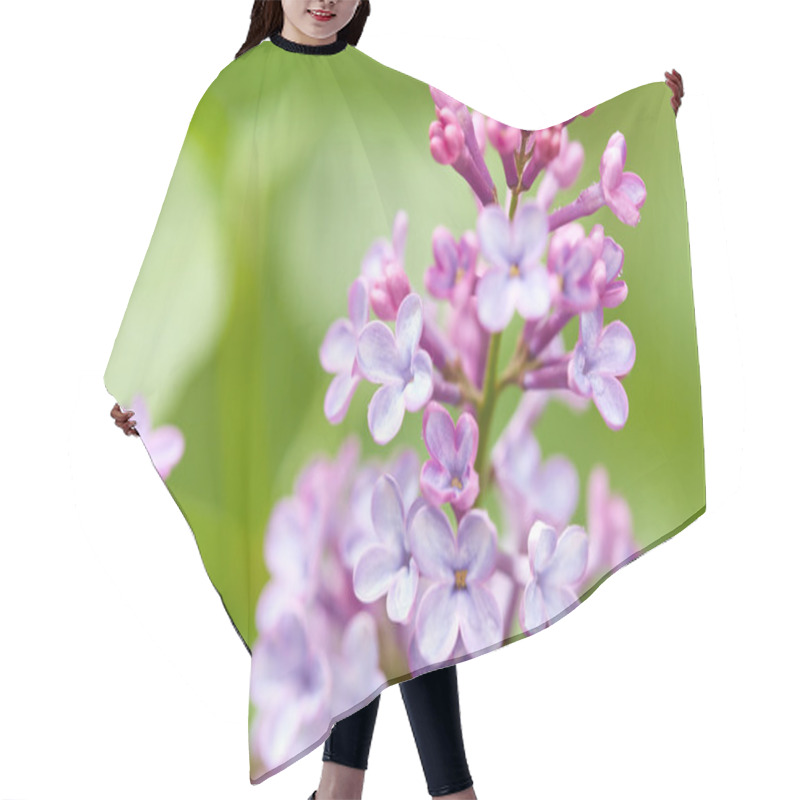 Personality  Nature Background. Lilac Flowers Hair Cutting Cape